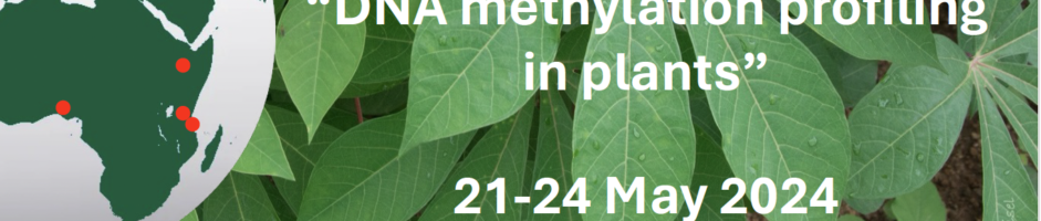 Third Advanced Bioinformatics Workshop – DNA Methylation Profiling in Plants